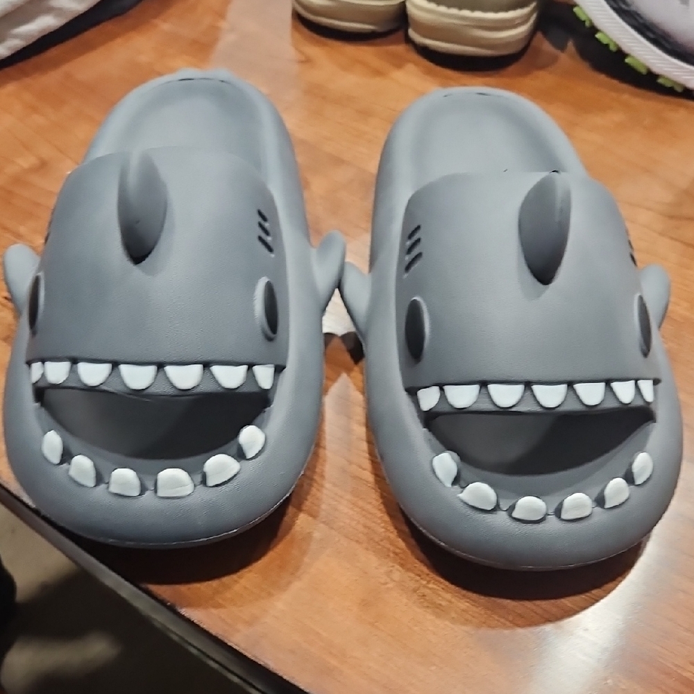 Gray Shark Slides